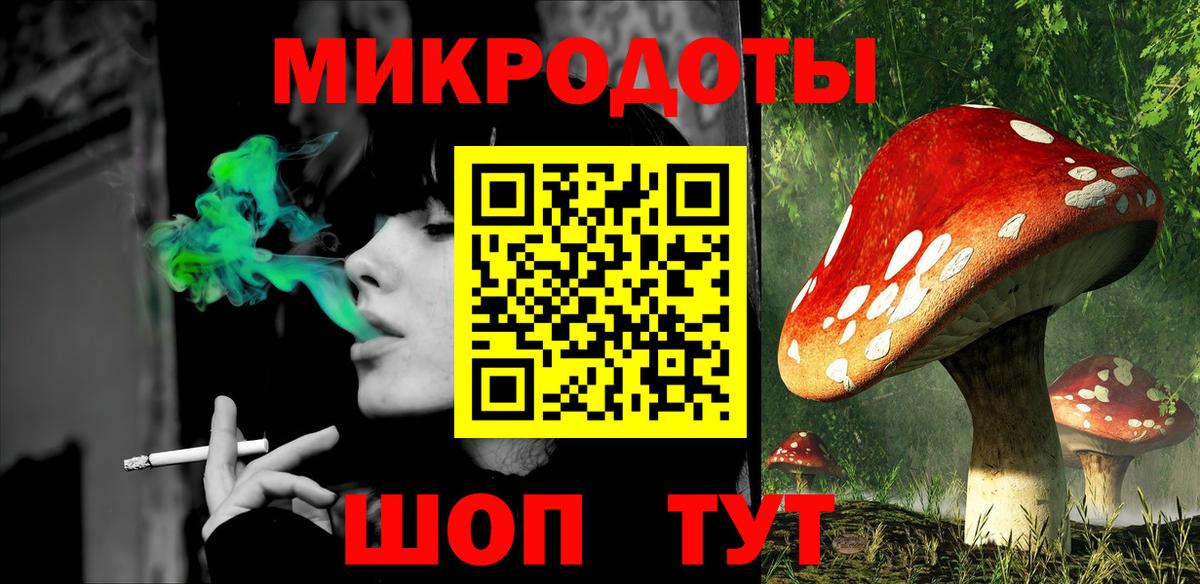 Галлюциногенные грибы Psilocybe  Вход с VPN  Сызрань 